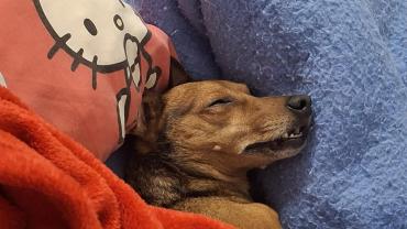 Demander une garde Demander une garde